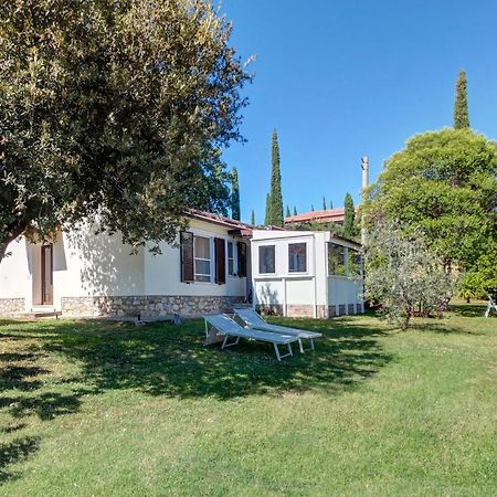 Artemisia Negli Ulivi B&B Magliano in Toscana Extérieur photo