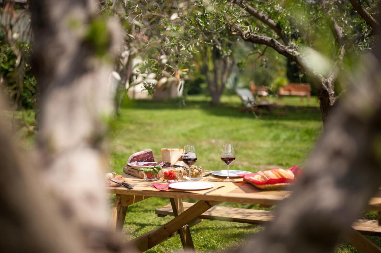 Artemisia Negli Ulivi B&B Magliano in Toscana Extérieur photo