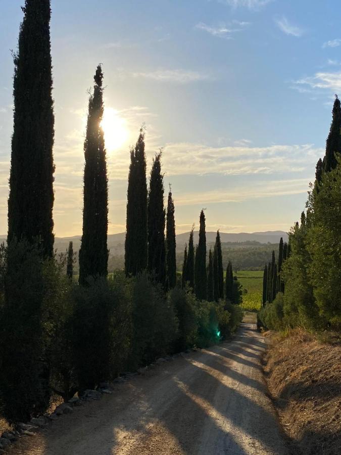 Artemisia Negli Ulivi B&B Magliano in Toscana Extérieur photo
