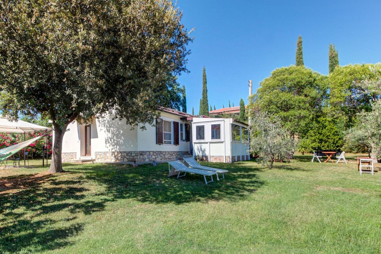 Artemisia Negli Ulivi B&B Magliano in Toscana Extérieur photo