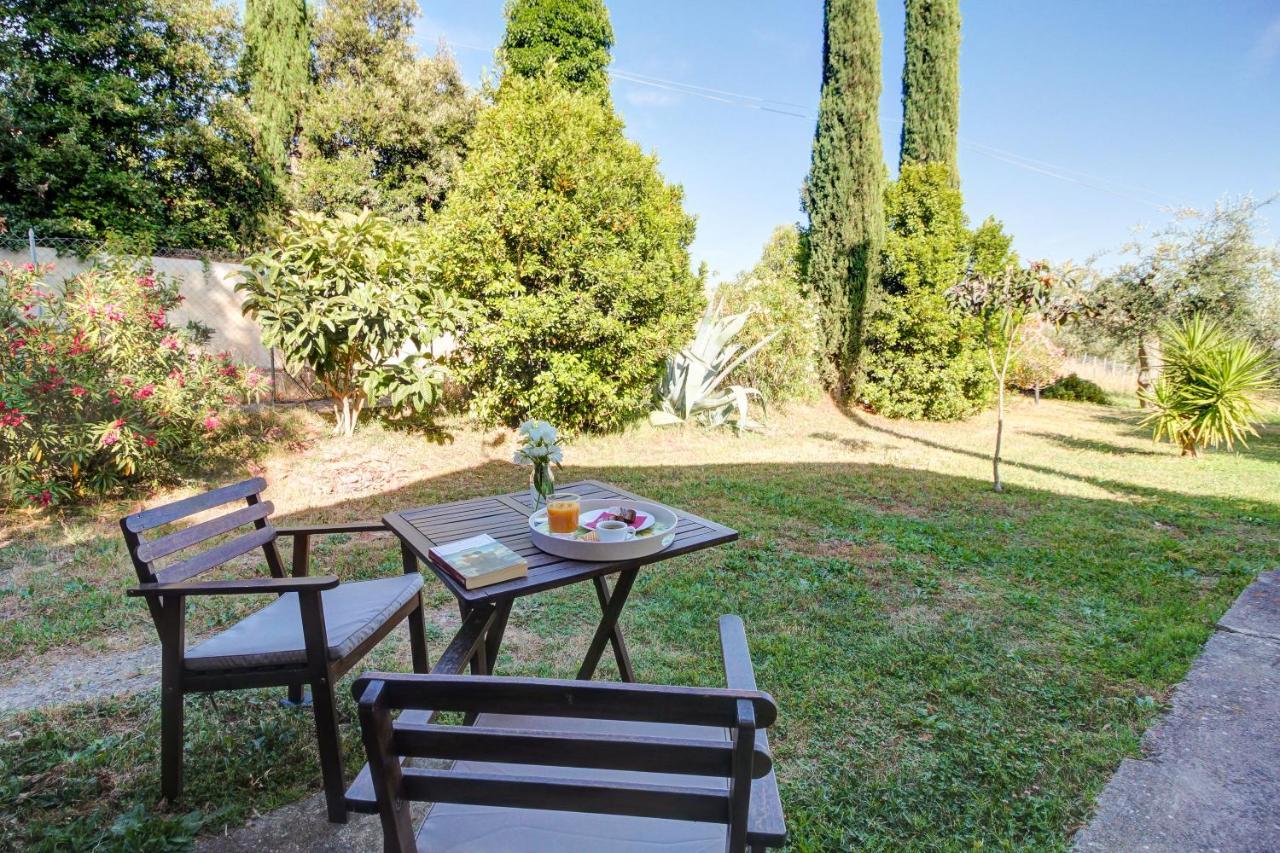 Artemisia Negli Ulivi B&B Magliano in Toscana Extérieur photo