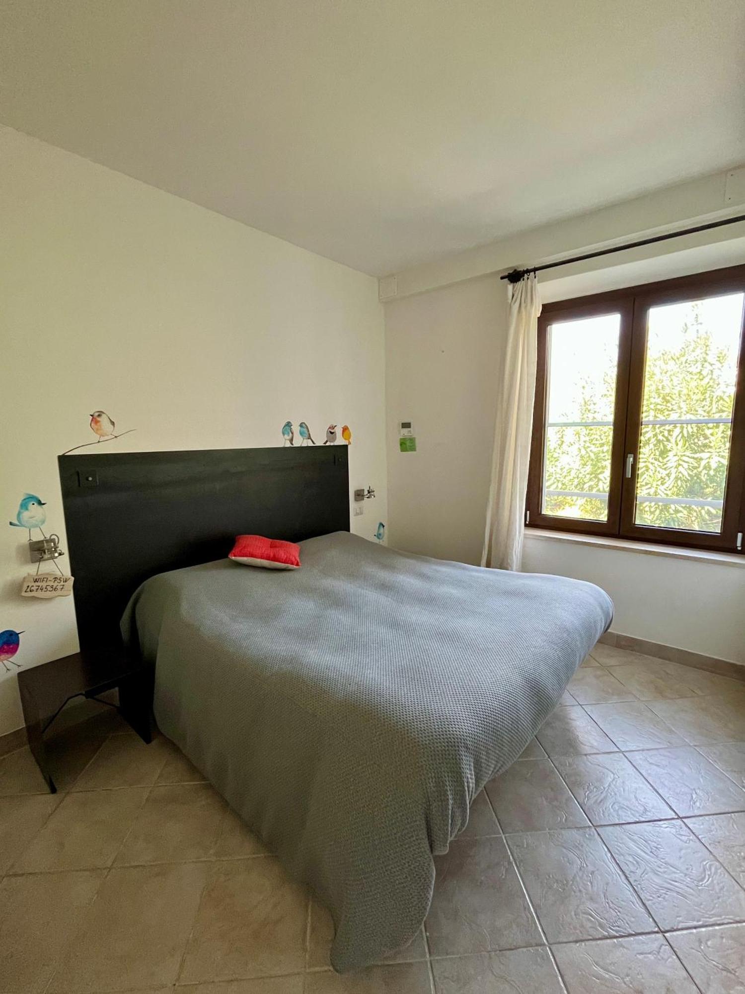 Artemisia Negli Ulivi B&B Magliano in Toscana Extérieur photo